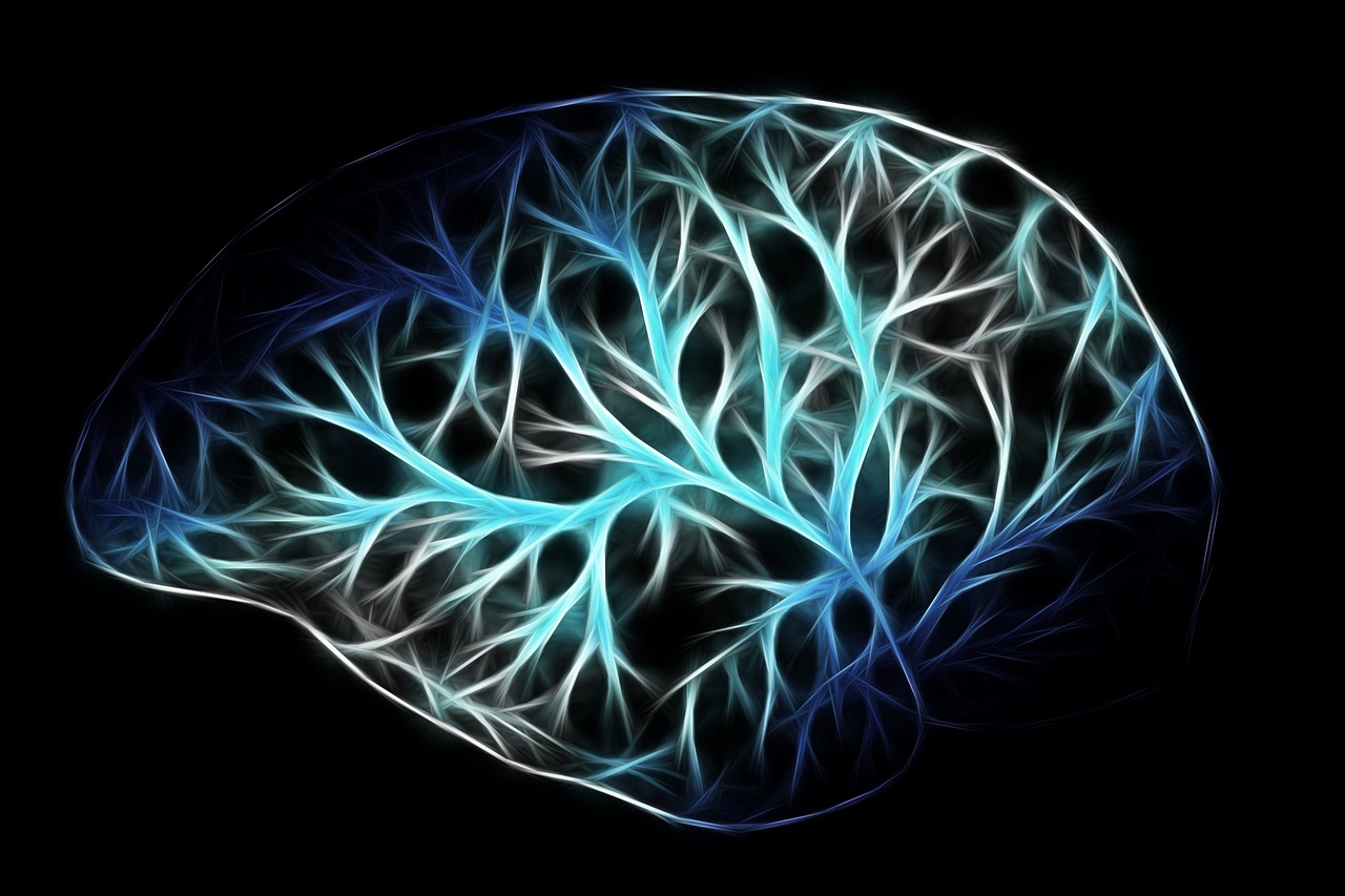 Anatomie, Autonomes Nervensystem